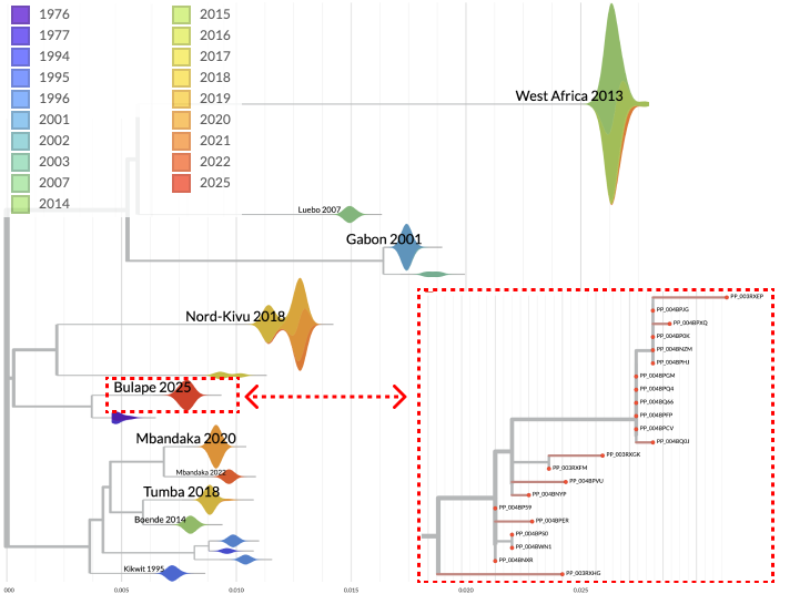 all Ebola outbreaks