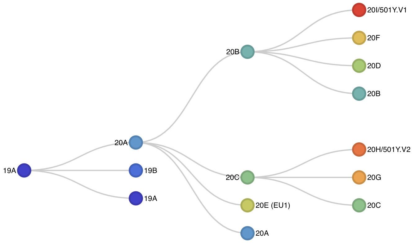 ncov-clades-schematic