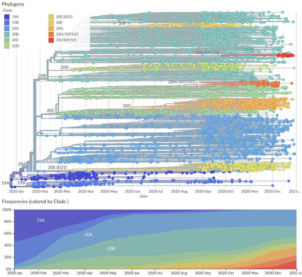 nextstrain-global-ncov-clades